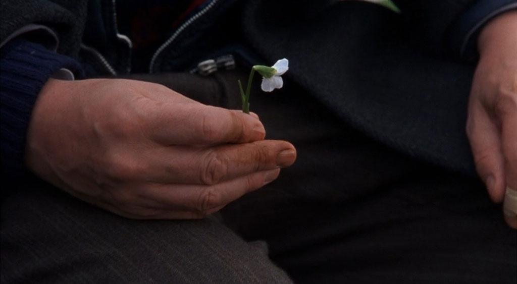 Francie segura uma pequena flor fura-neve.