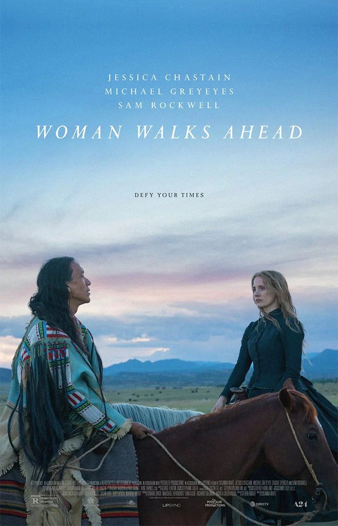 Pôster do filme "Uma Mulher Exemplar" (2017)