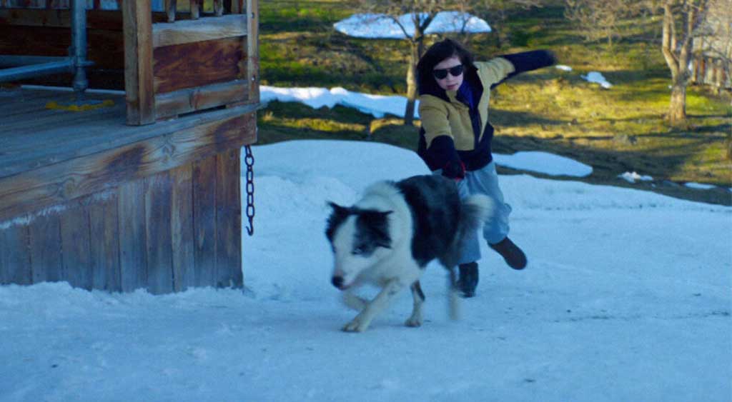 Ao avistar Samuel caído no chão, Snoop dá um solavanco na coleira fazendo com que Daniel se desequilibre.